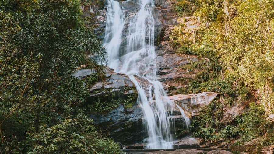 Rio de Janeiro: 4-Hour Botanical Garden & Tijuca Forest Tour - Who this tour fits best