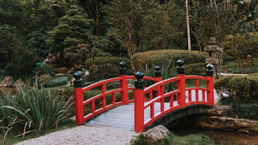Rio de Janeiro: 4-Hour Botanical Garden & Tijuca Forest Tour - Should you book this Rio Botanical Garden and Tijuca tour?