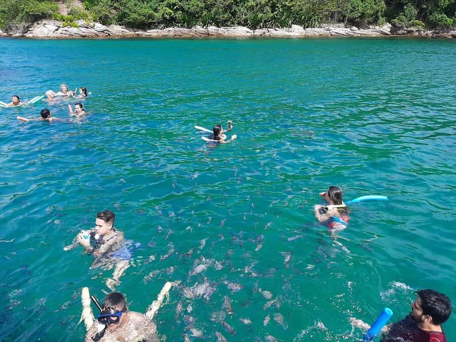 Rio de Janeiro: Angra dos Reis and Ilha Grande Full-Day Tour - Should You Book This Rio-to-Islands Day Trip?
