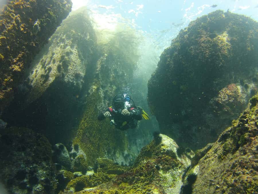 Rio de Janeiro: Arraial do Cabo Scuba Diving Day Trip - Who this suits best (and who should skip it)