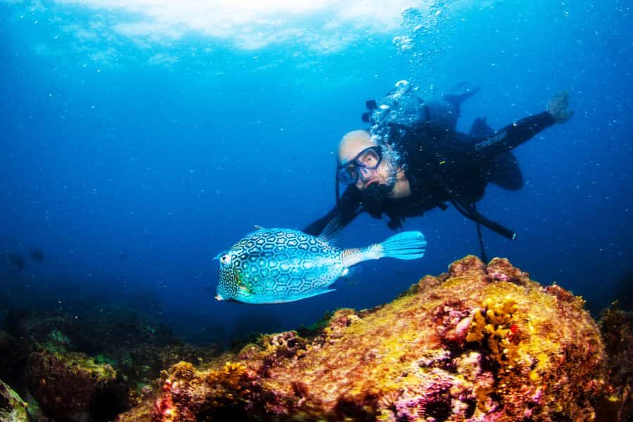 Rio de Janeiro: Arraial do Cabo Scuba Diving Day Trip - Why Arraial do Cabo’s clear water is the real headline