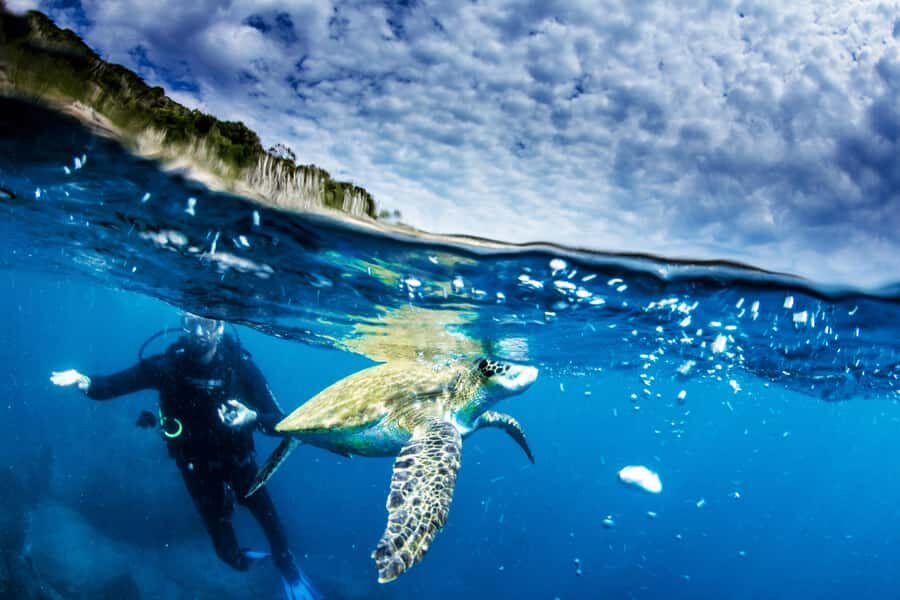 Rio de Janeiro: Arraial do Cabo Scuba Diving Day Trip - Price check: is $255 worth it for 10 hours and included equipment?