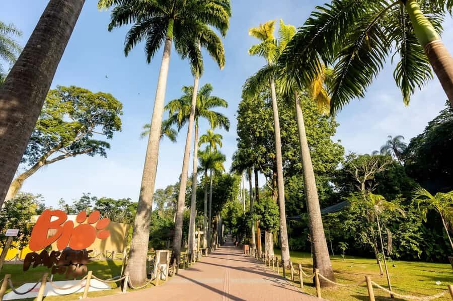 Rio de Janeiro: BioParque Guided Tour with Transfer - Guide and Language: English-Friendly and Multi-Language Options
