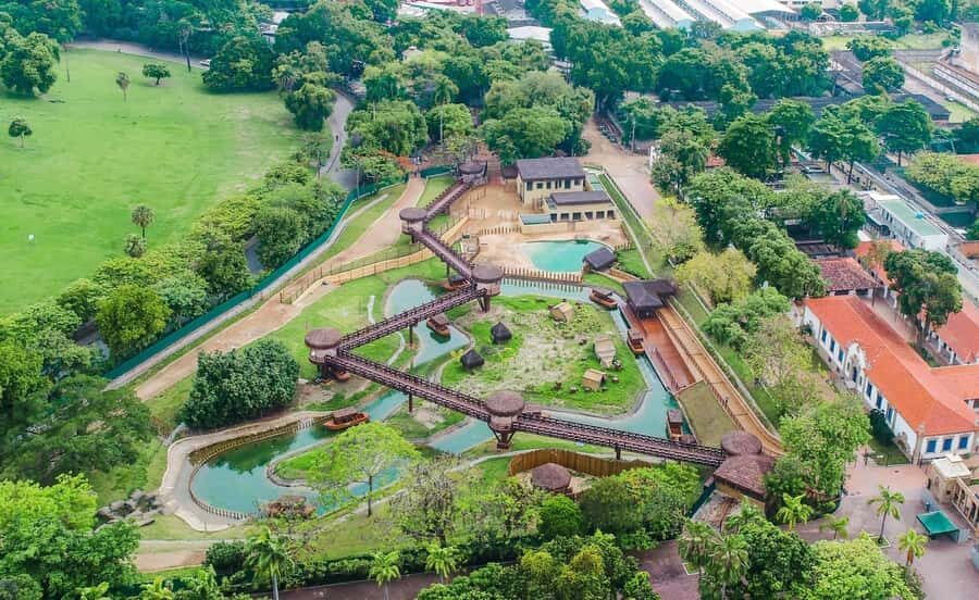 Rio de Janeiro: BioParque Guided Tour with Transfer - Price and Value: What $58 Buys (and What It Doesn’t)