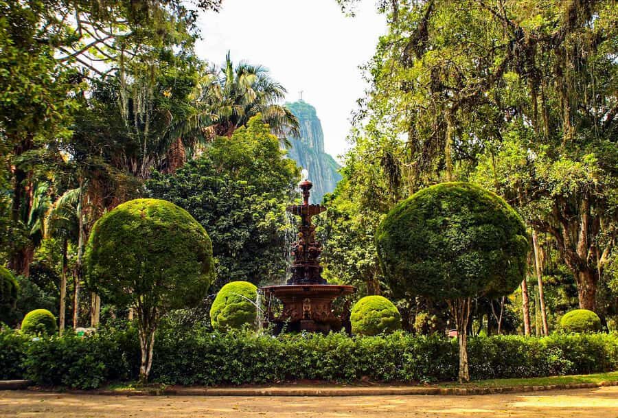 Rio de Janeiro: Botanical Garden Guided Visit - Key things I’d circle before you go