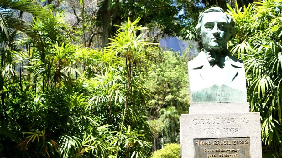 Rio de Janeiro: Botanical Garden Guided Visit - Lago Frei Leandro and the Victoria water lilies: where the pace slows