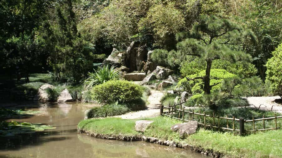 Rio de Janeiro: Botanical Garden Guided Visit - Wildlife spotting without the stress: capuchins, marmosets, and birds