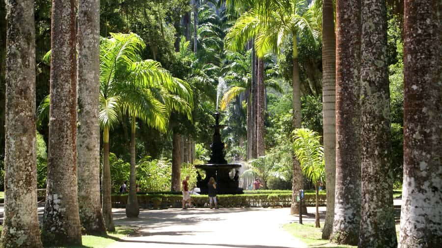 Rio de Janeiro: Botanical Garden Guided Visit - The Japanese Garden: serenity you can actually feel in your feet