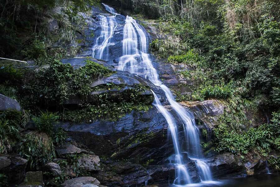 Rio de Janeiro: Botanical Garden & Tijuca Forest Guided Tour - Key Points Before You Go