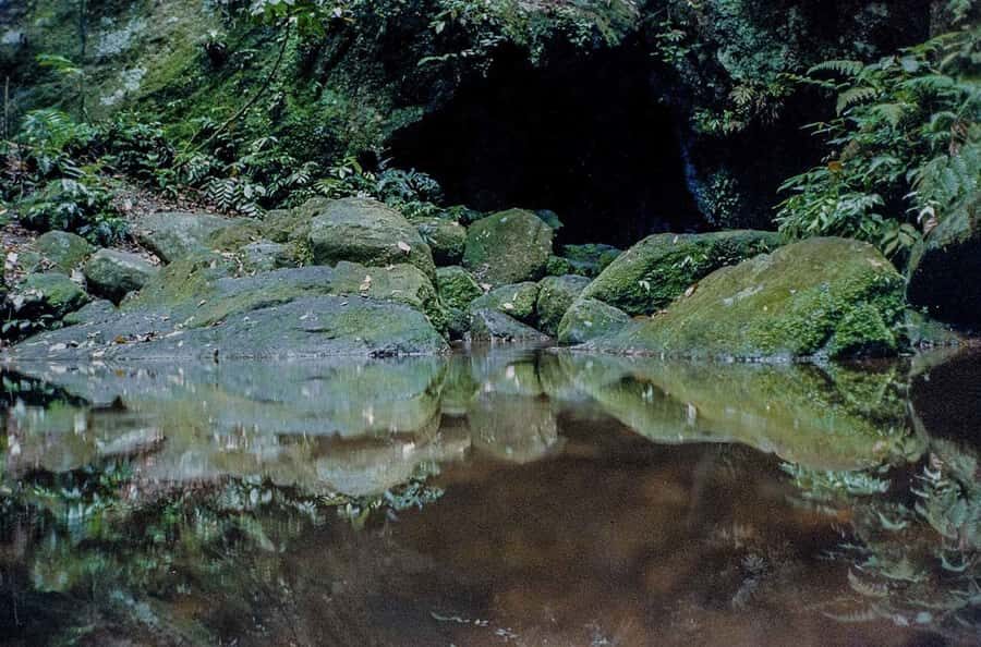 Rio de Janeiro: Botanical Garden & Tijuca Forest Guided Tour - The Stops That Actually Pay Off: Waterfalls and Named Viewpoints