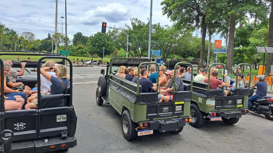Rio de Janeiro: Botanical Garden & Tijuca Forest Guided Tour - Botanical Garden: Imperial Palms, Orchids, and Rare Species
