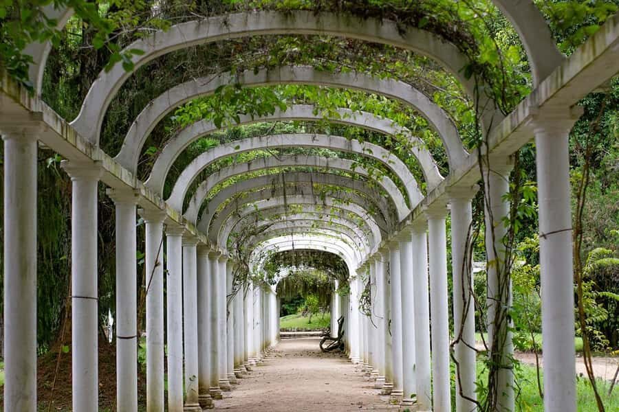 Rio de Janeiro: Botanical Garden & Tijuca Forest Guided Tour - Your Guide and the Small-Group Advantage (Gabriel, in Particular)