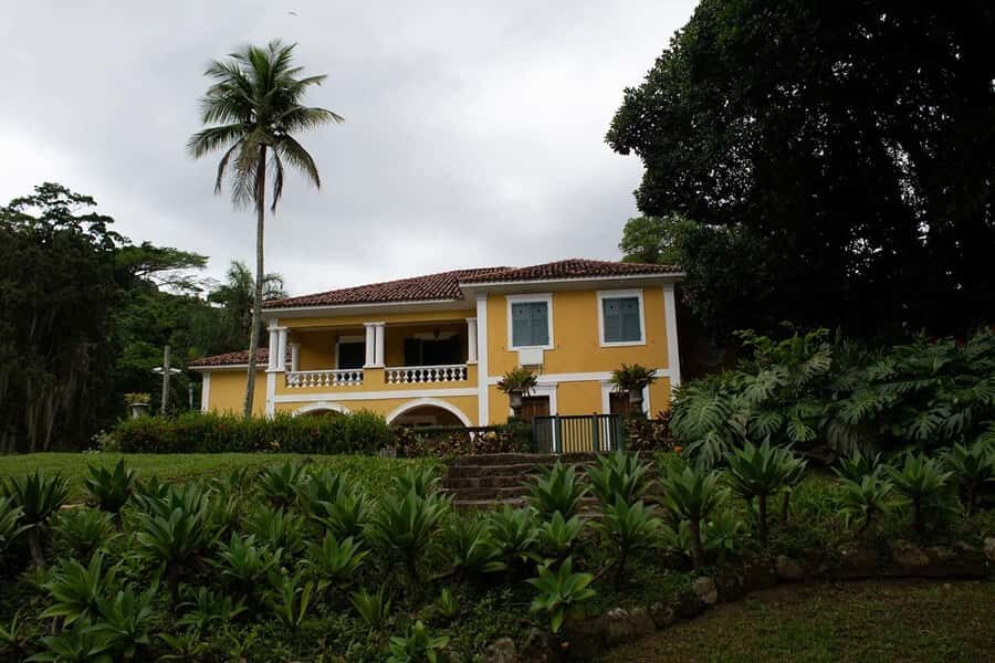 Rio de Janeiro: Botanical Garden & Tijuca Forest Guided Tour - Price and Value: What $85 Covers and What It Doesn’t