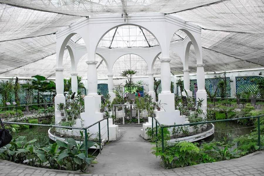 Rio de Janeiro: Botanical Garden & Tijuca Forest Guided Tour - Pace, Weather, and the Day-Of Reality Check