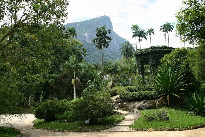 Rio de Janeiro Botanical Garden Tour - How the Tour Runs: Timing, Pickup, and the Pace That Feels Right