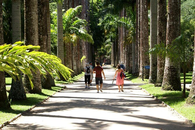 Rio de Janeiro Botanical Garden Tour - Price and Value: Is $81.35 a Good Deal?