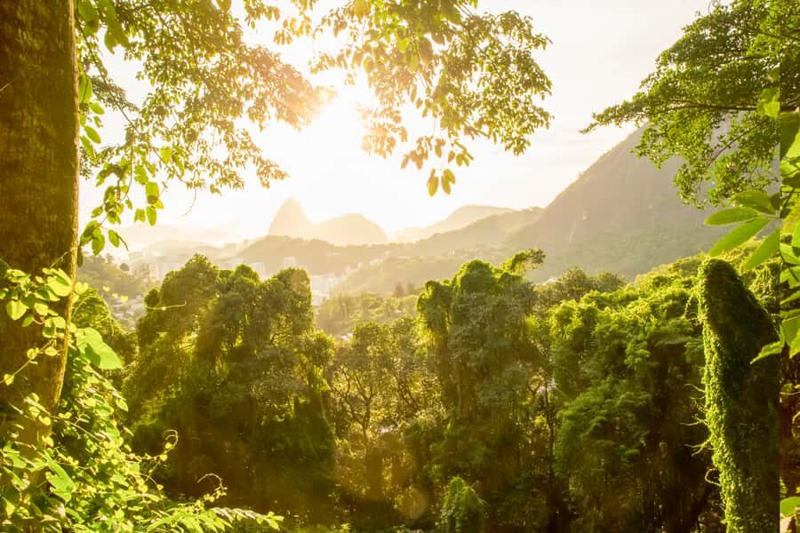 Rio de Janeiro: Christ, Selaron Steps, and Tijuca Park Tour - Who should book this Rio tour (and who should skip it)