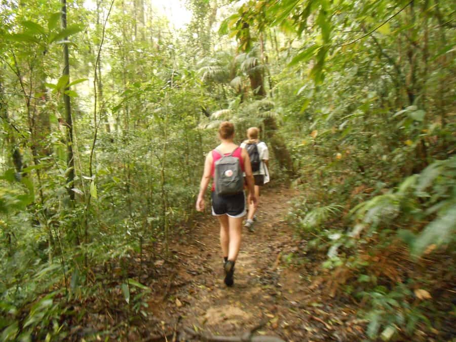 Rio de Janeiro: Christ the Redeemer Guided Hike - Transfers, drop-offs, and the $81 value math