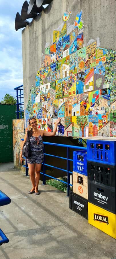 Rio de Janeiro: Favela Santa Marta Tour with Resident Guide - Walking Through Santa Marta: Viewpoints, a Favela Scene, and Cultural Stops