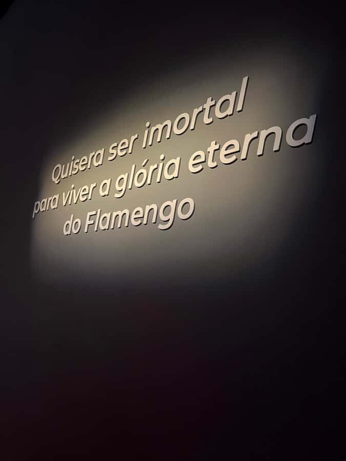Rio de Janeiro: Flamengo Museum Ticket Entrance - Four floors of trophies and 14 themed zones