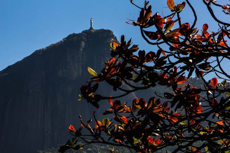 Rio de Janeiro: Guided Bike Tours in Small Groups - Key things to know before you pedal