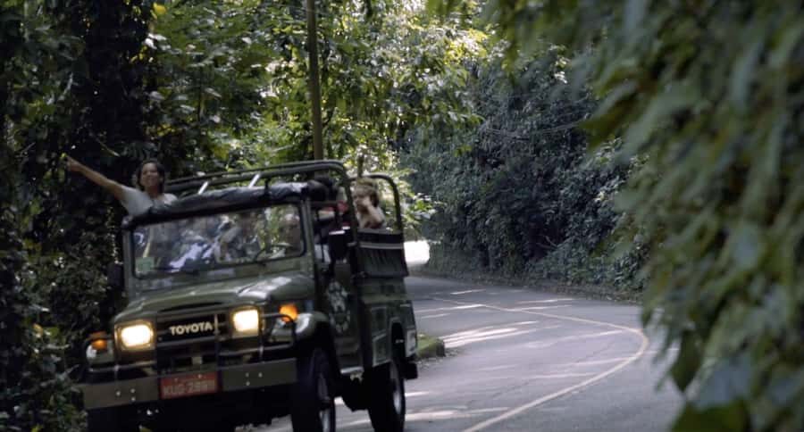 Rio de Janeiro: Jeep Tour in the Tijuca Forest - Why this Jeep tour works so well in Tijuca Forest