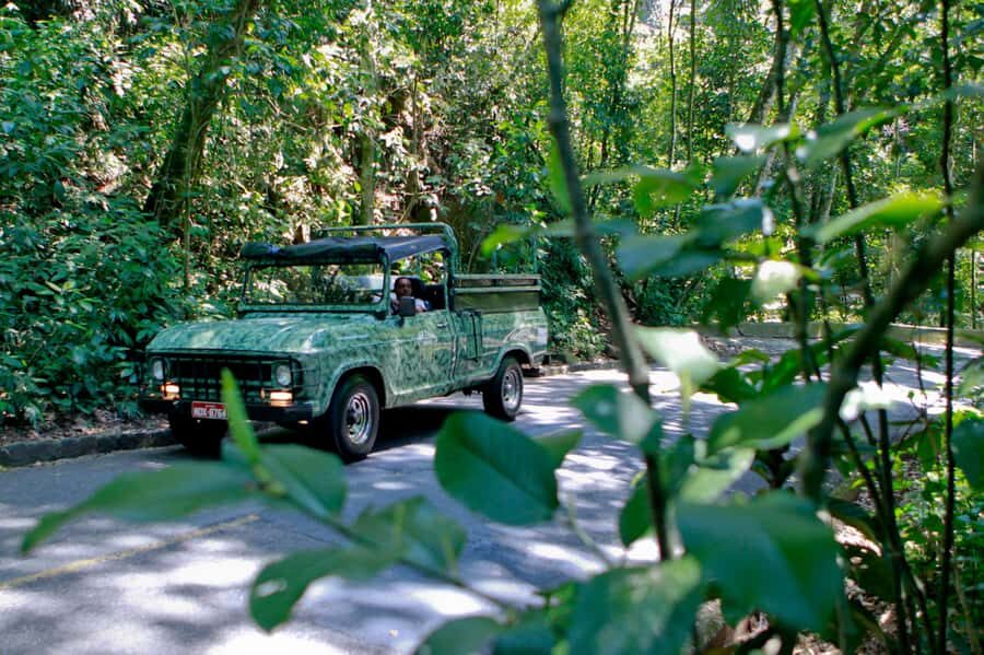 Rio de Janeiro: Jeep Tour in the Tijuca Forest - Pickup reality: how to plan your morning or afternoon start