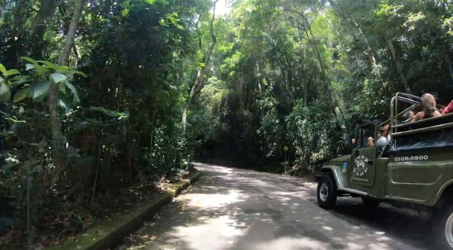 Rio de Janeiro: Jeep Tour in the Tijuca Forest - Tijuca National Park: safety briefing and the first payoff