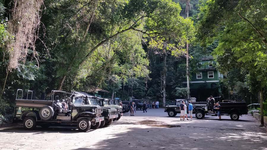 Rio de Janeiro: Jeep Tour in the Tijuca Forest - Wildlife in the Tijuca “safari” style: great odds, not a guarantee