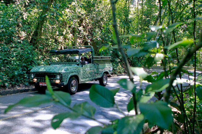 Rio de Janeiro Jeep Tour : Tijuca Forest - Entering Parque Nacional da Tijuca: where the guide sets the tone