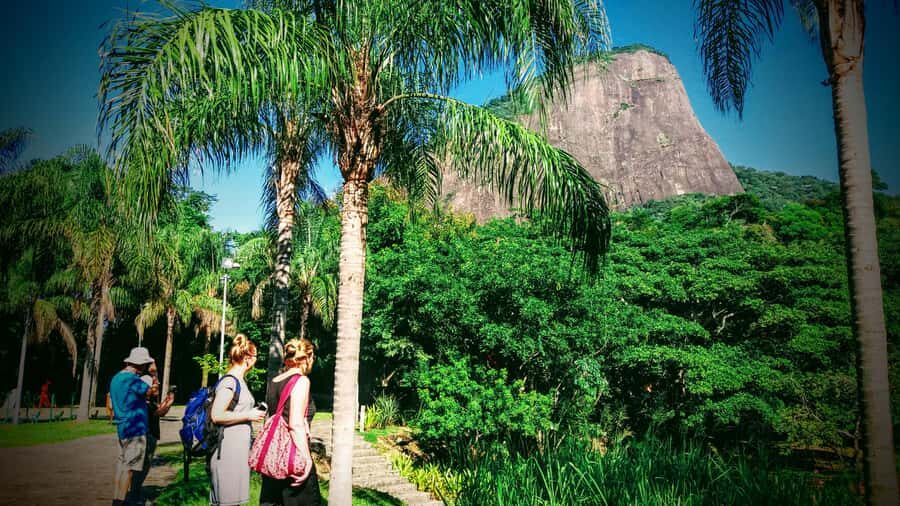 Rio de Janeiro Nature Secrets 'The Eco Citytour' - Dois Irmãos Park: your first big view of Leblon and Ipanema
