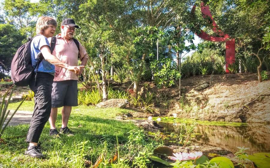 Rio de Janeiro Nature Secrets 'The Eco Citytour' - Vista Chinesa and Taunay Waterfall: rainforest scenery without the strain