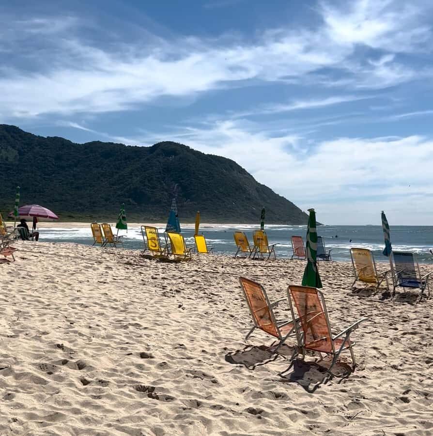 Rio de Janeiro: Pedra do Telégrafo trail and beach stop - Hotel pickup and the 5–6 hour rhythm that keeps it stress-free
