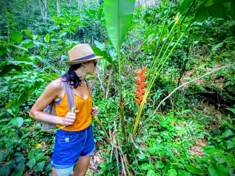 Rio de Janeiro Secluded Beaches: Hike+Swim Prainha & Grumari - Prainha Beach time: a short guided taste before you climb
