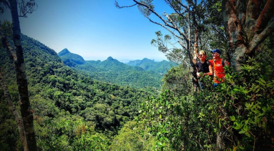 Rio de Janeiro: Tijuca Forest Challenge Hike Full-Day Trip - Guides Bring the Forest Story to Life (So You Notice What You Walk Past)
