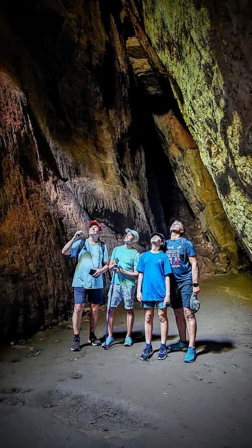 Rio de Janeiro: Tijuca Forest Challenge Hike Full-Day Trip - Cascatinha Taunay and First Forest Orientation