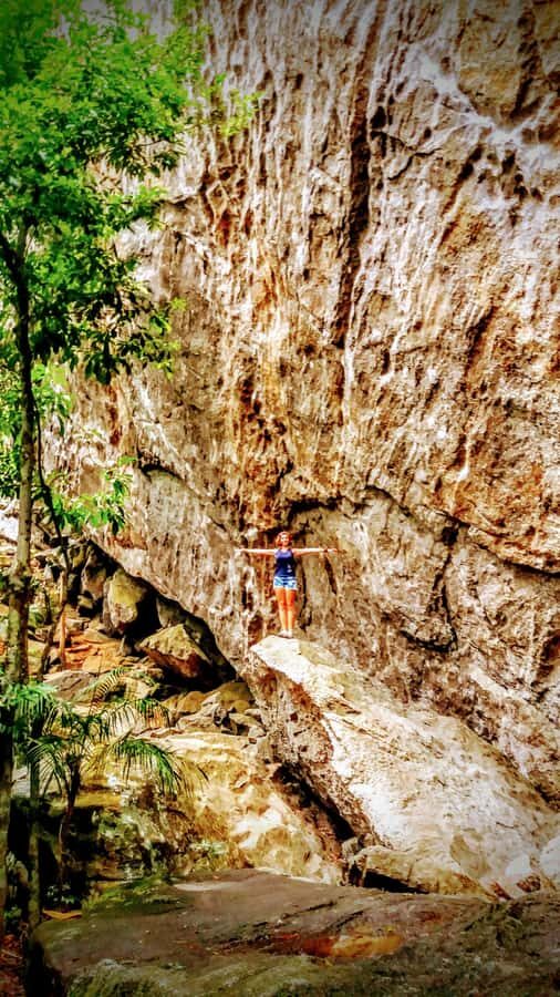 Rio de Janeiro: Tijuca Forest Challenge Hike Full-Day Trip - The Almost-Secret Trail: Coffee Ruins, Grottos, and Cave Time