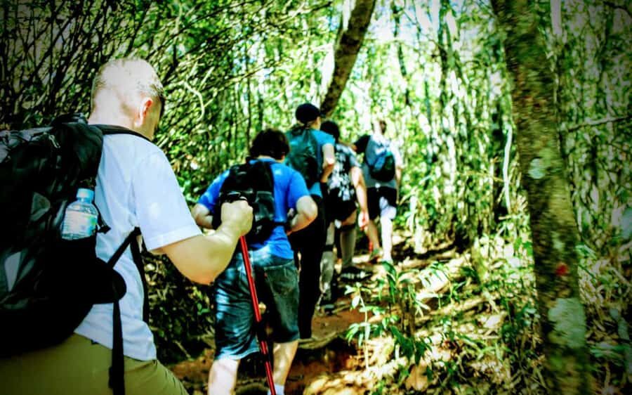 Rio de Janeiro: Tijuca Forest Challenge Hike Full-Day Trip - Vista Chinesa Only on Working Days: A Bonus If You Hit the Calendar