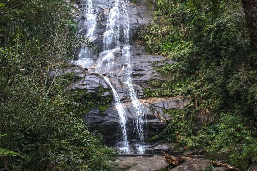 Rio de Janeiro: Tijuca Forest Waterfall of Souls Hike - Key things that make this hike worth your time