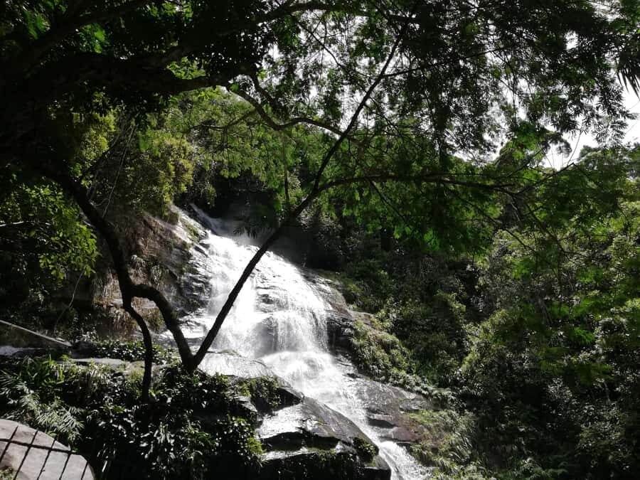 Rio de Janeiro: Tijuca Forest Waterfall of Souls Hike - What happens after: grabbing a traditional afro Brazilian dish