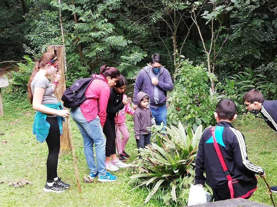 Rio de Janeiro: Tijuca Forest Waterfall of Souls Hike - A 210-minute flow: breathing, walking, cleansing, then the falls
