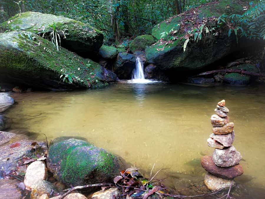 Rio de Janeiro: Tijuca Forest Waterfall of Souls Hike - The circuit finish: painters’ escape garden, lake, and Mayrink Chapel