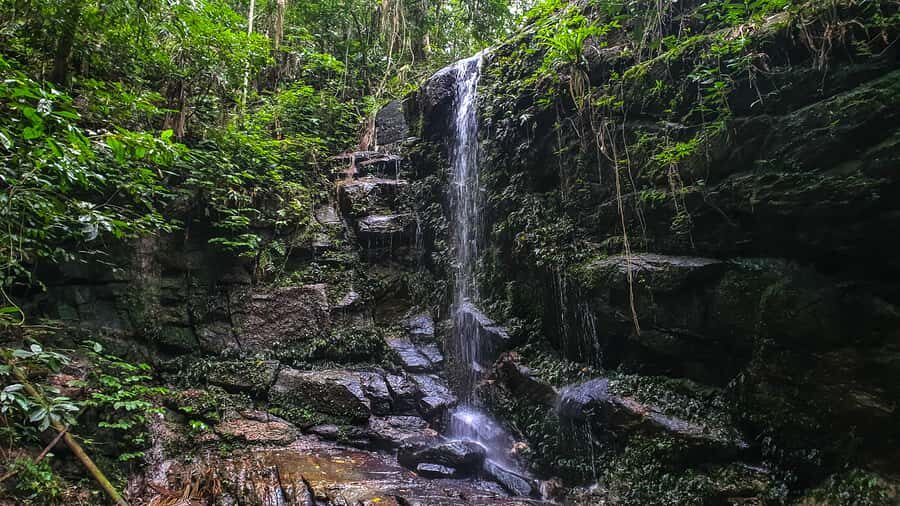 Rio de Janeiro: Tijuca Forest Waterfall of Souls Hike - Meeting at Estr. da Cascatinha: how to start without chaos