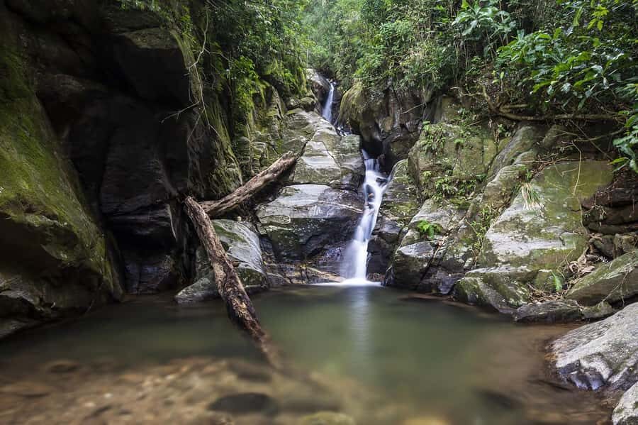 Rio de Janeiro: Tijuca National Park & Botanic Garden Tour - Key things that make this tour worth your time