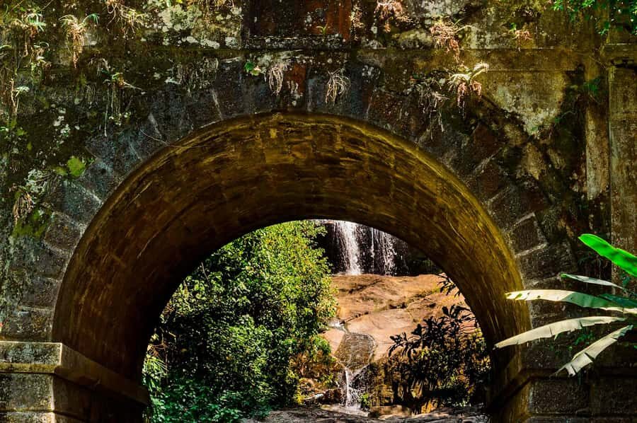 Rio de Janeiro: Tijuca National Park & Botanic Garden Tour - How to time your day in Rio: traffic and weather reality