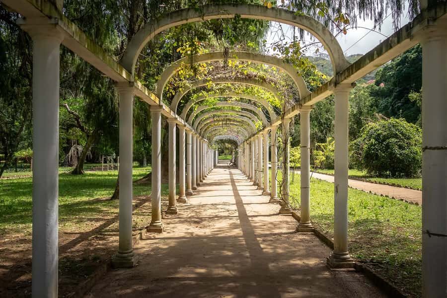 Rio de Janeiro: Tijuca National Park & Botanic Garden Tour - Tijuca in 4 hours: why this half-day format works
