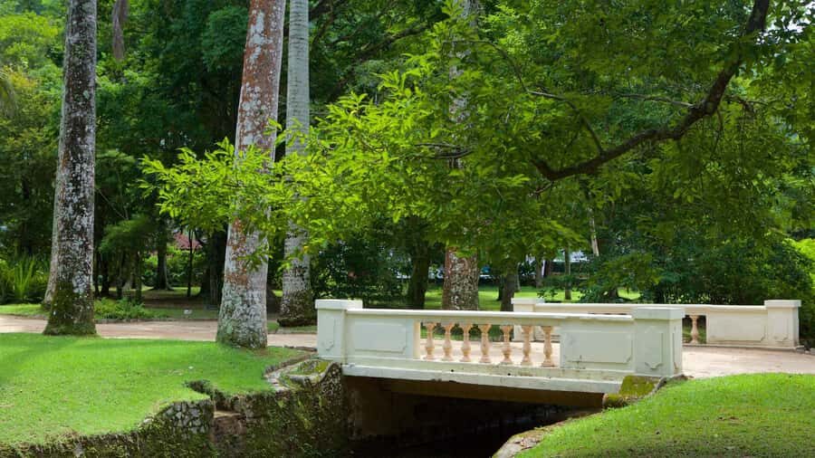 Rio de Janeiro: Tijuca National Park & Botanic Garden Tour - Mayrink Chapel with its pink facade: history you can spot