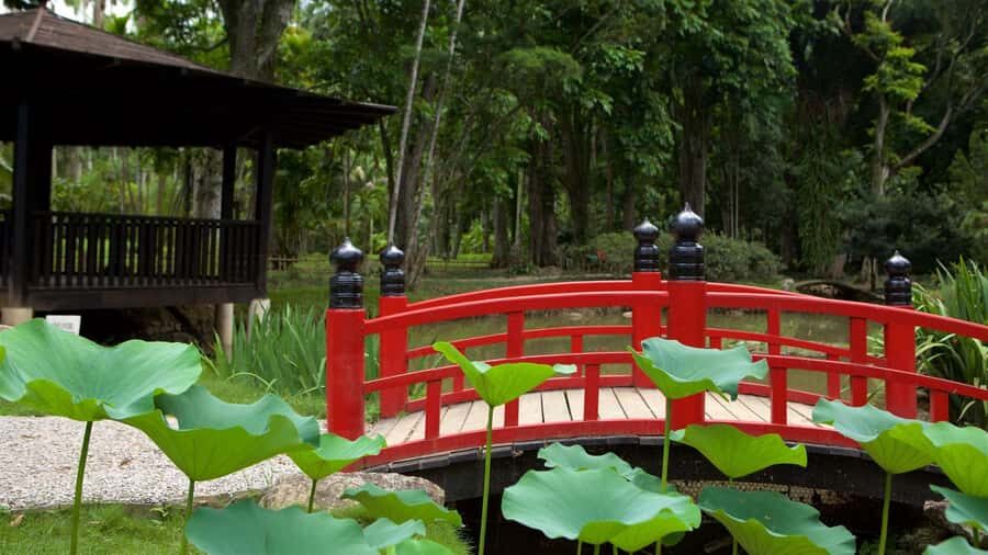 Rio de Janeiro: Tijuca National Park & Botanic Garden Tour - Price and value: what $65 buys you (and what it doesn’t)
