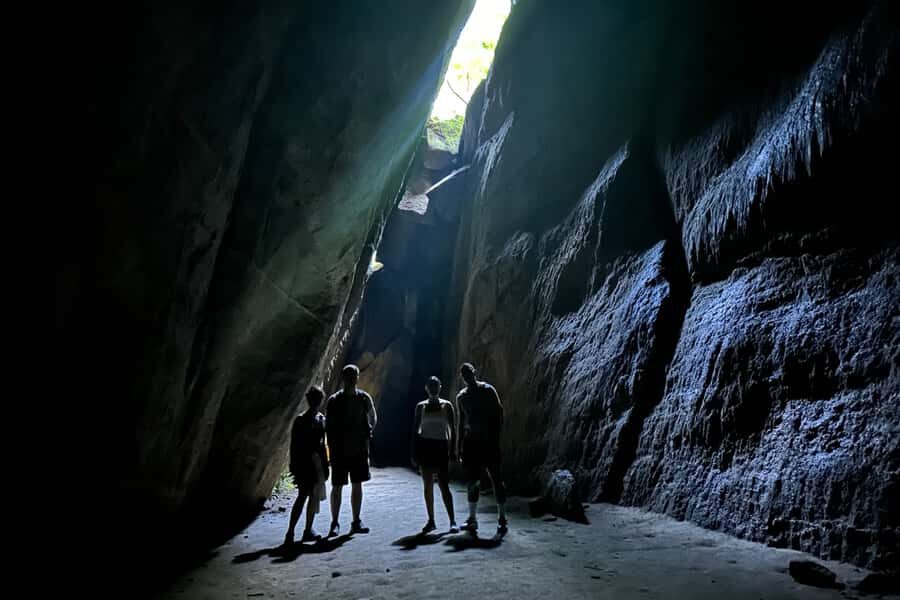 Rio de Janeiro: Tijuca National Park Tour - Price and value: is $79 per person a fair deal?