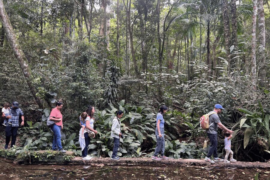 Rio de Janeiro: Tijuca National Park Tour - The rainforest walk: Cascatinha Taunay to Cachoeira das Almas